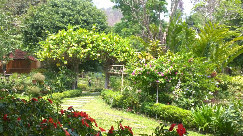 Bulunburi Resort Chiang Mai Eksteriør billede